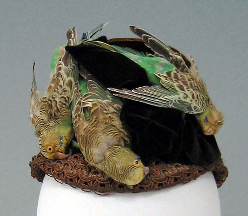 Bonnet of silk birds, Metropolitan Museum of Art