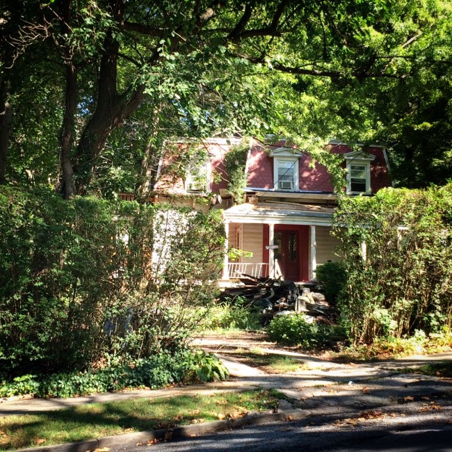 Hamilton Park New Brighton Staten Island