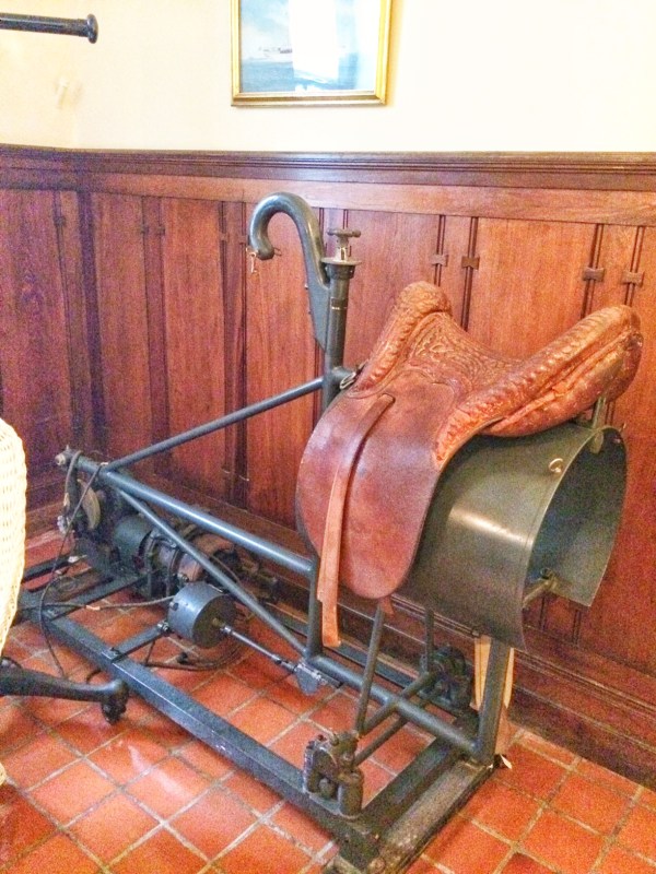 Nemours estate gym mechanical horse