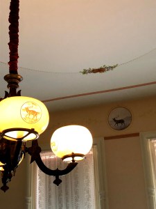 Eastern Elk motifs in a bedroom of the Armour Stiner Octagon House